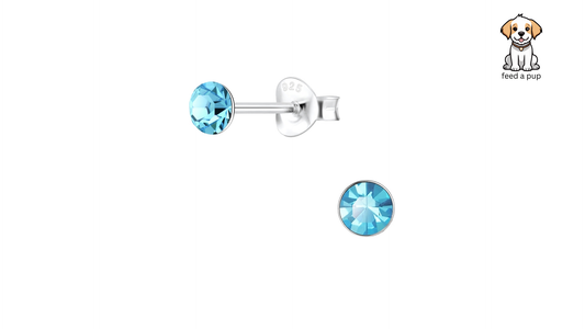 Timeless 4mm Round Studs - Aqua